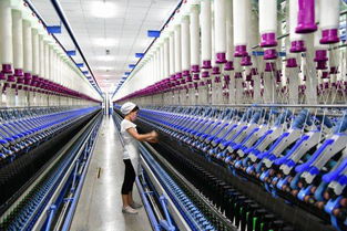 紡織品遮篷能否成為第七類直銷產品？獨立市場的新猜想